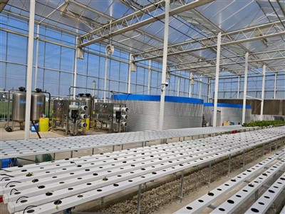 Dipòsit d'emmagatzematge d'aigua d'hivernacle